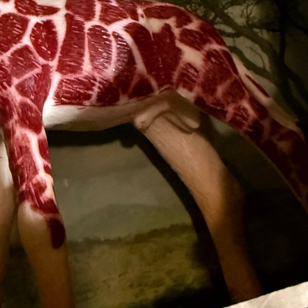 Dr. Gabby Wild Adventure‎ Giraffe Camelopardalis Safari Edition 2-Piece Set - Picture 4 of 5